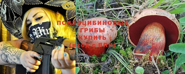 гашик Елизово