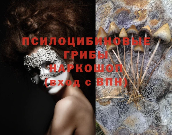 мдпв Заводоуковск
