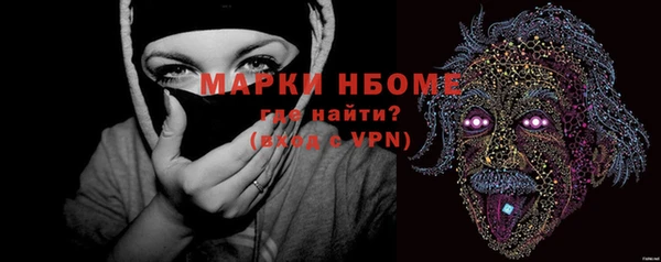 индика Михайлов