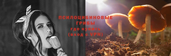 гашик Елизово