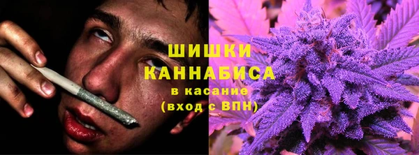 индика Михайлов