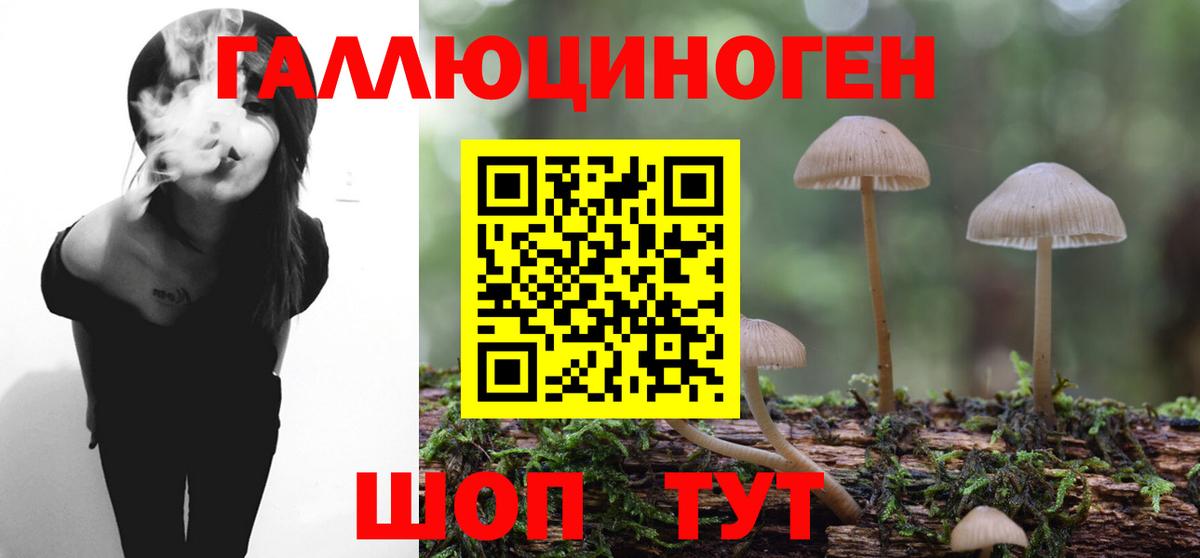 Елабуга  Галлюциногенные грибы Magic Shrooms  Галлюциногенные грибы Cubensis  Вход с VPN 