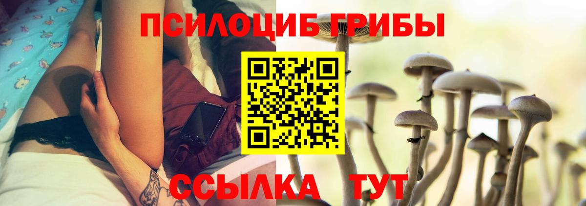 Галлюциногенные грибы прущие грибы Елабуга
